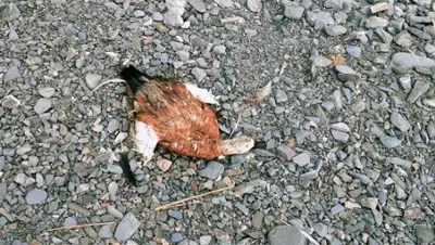 Сакен Дилдахмет/facebook, фото - Новости Zakon.kz от 28.07.2020 14:25