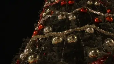 Zakon.kz, фото - Новости Zakon.kz от 15.12.2014 17:28