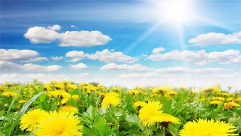 Жаркая погода сохранится на всей территории Казахстана