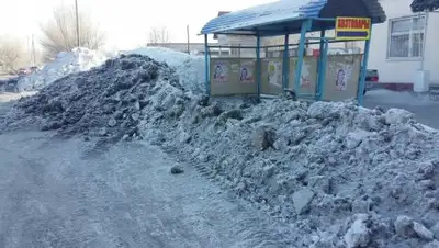 Zakon.kz, фото - Новости Zakon.kz от 14.02.2017 19:45