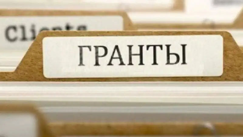 Какие фонды и организации предоставляют гранты Казахстану