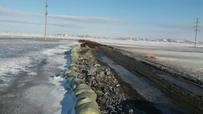 Из-за подтоплений эвакуируют жителей и скот акмолинского села Чаглинка