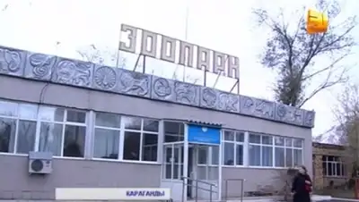 Zakon.kz, фото - Новости Zakon.kz от 30.10.2015 12:18