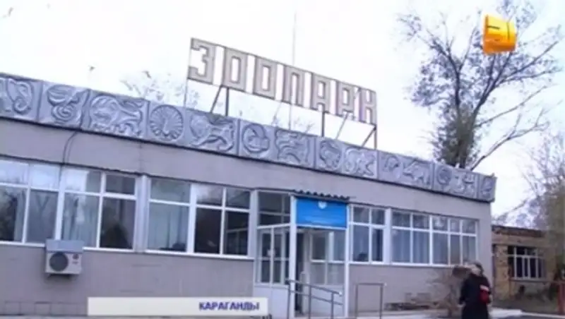 Карагандинский зоопарк переживает кризис