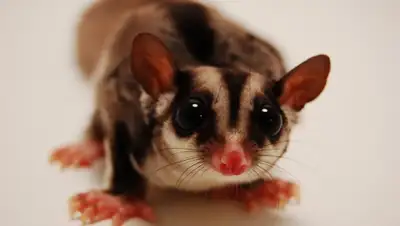 Zakon.kz, фото - Новости Zakon.kz от 28.03.2015 20:14