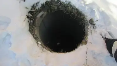 nsktv.ru, фото - Новости Zakon.kz от 20.02.2019 09:46