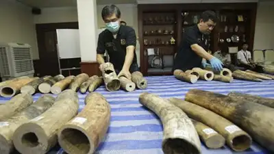 Zakon.kz, фото - Новости Zakon.kz от 27.05.2016 05:03