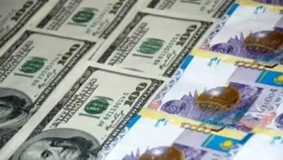 Zakon.kz, фото - Новости Zakon.kz от 07.09.2017 11:31