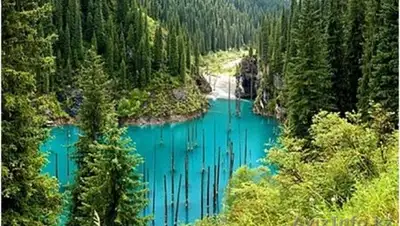 Zakon.kz, фото - Новости Zakon.kz от 16.08.2017 23:26