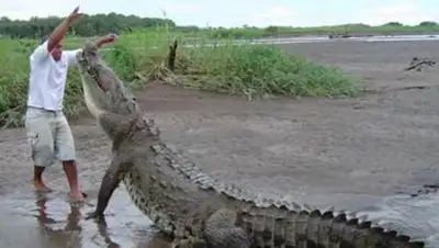 Zakon.kz, фото - Новости Zakon.kz от 22.10.2015 15:54