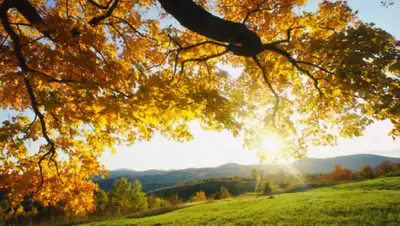 barnaul.bezformata.com, фото - Новости Zakon.kz от 04.10.2019 09:10