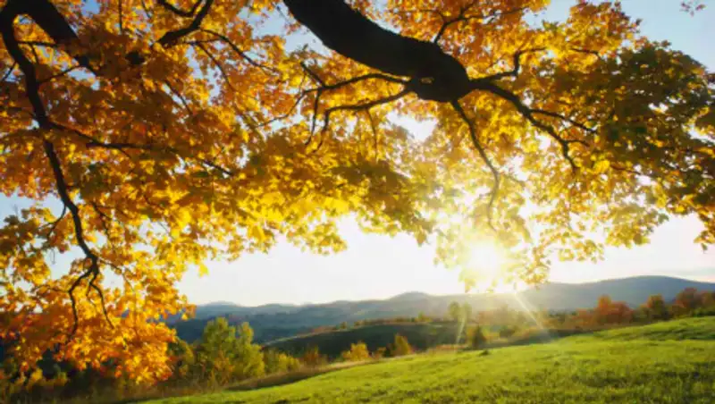 Погода без осадков ожидается в пятницу по Казахстану