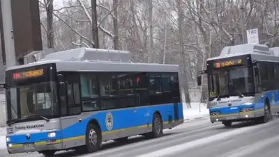 yvision.kz, фото - Новости Zakon.kz от 08.02.2019 11:14