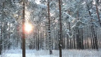 Zakon.kz, фото - Новости Zakon.kz от 30.01.2015 14:39