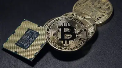 55, фото - Новости Zakon.kz от 07.10.2023 18:47