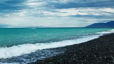 burk.ru, фото - Новости Zakon.kz от 30.07.2018 22:26