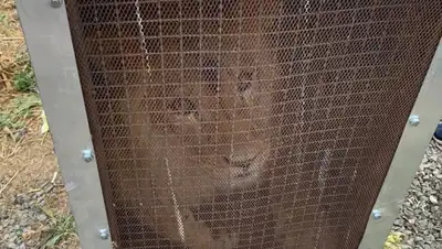 пресс-служба, фото - Новости Zakon.kz от 16.07.2020 13:09