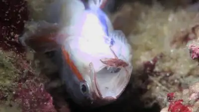 Zakon.kz, фото - Новости Zakon.kz от 20.05.2016 15:32