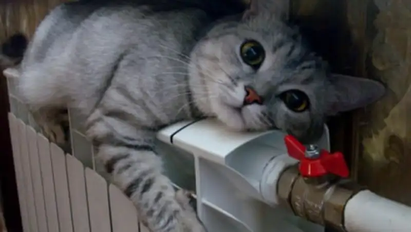 Осадки и усиление ветра прогнозируют синоптики в понедельник