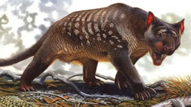 Найдена причина вымирания древних гигантских животных