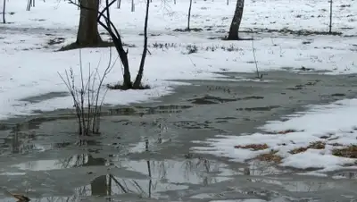 Zakon.kz, фото - Новости Zakon.kz от 29.02.2016 12:00