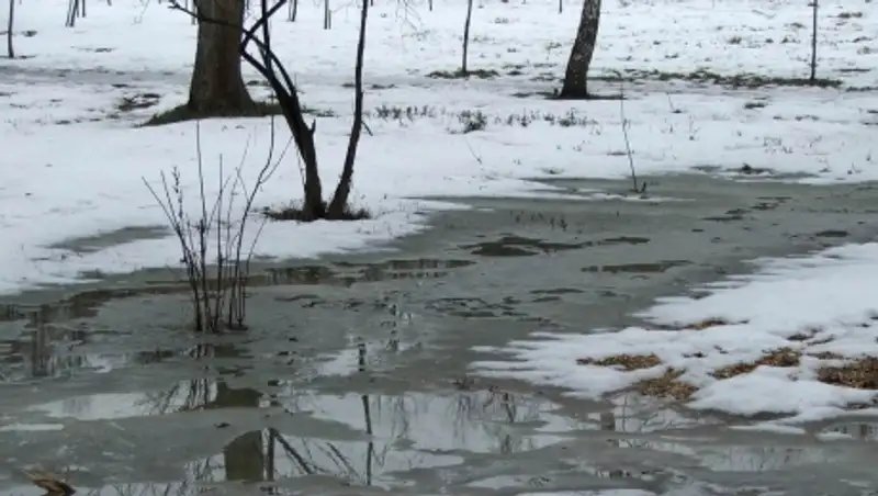 Погода без осадков ожидается на большей части Казахстана 29 февраля