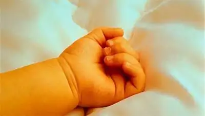 Zakon.kz, фото - Новости Zakon.kz от 30.10.2014 19:57