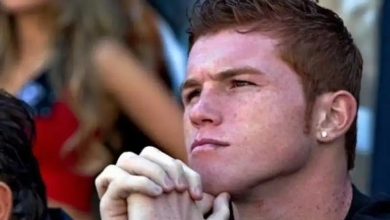 Побитые Головкиным боксеры претендуют на бой с Альваресом