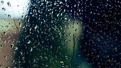 pexels.com, фото - Новости Zakon.kz от 10.09.2019 09:07