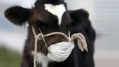 Zakon.kz, фото - Новости Zakon.kz от 25.10.2016 20:38