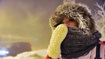 Фото с сайта selchanka.com, фото - Новости Zakon.kz от 24.01.2018 09:30