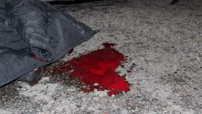 Zakon.kz, фото - Новости Zakon.kz от 30.12.2015 17:20