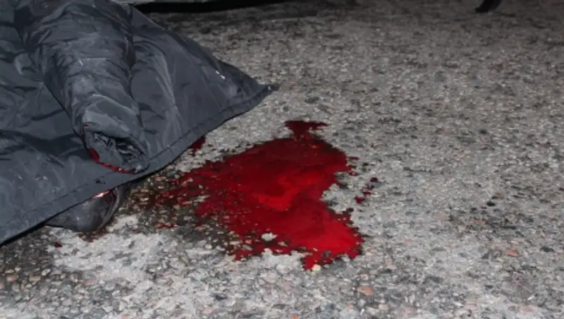 В Алматинской области машина дважды за год стала участницей смертельных наездов