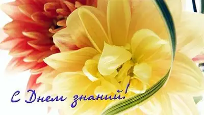 Zakon.kz, фото - Новости Zakon.kz от 01.09.2014 15:21