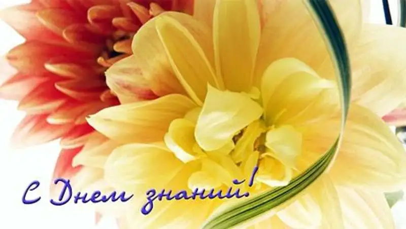 Сегодня в Казахстане отмечают День знаний