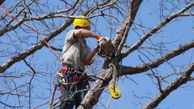 almaty.astana.kz, фото - Новости Zakon.kz от 17.01.2020 12:27