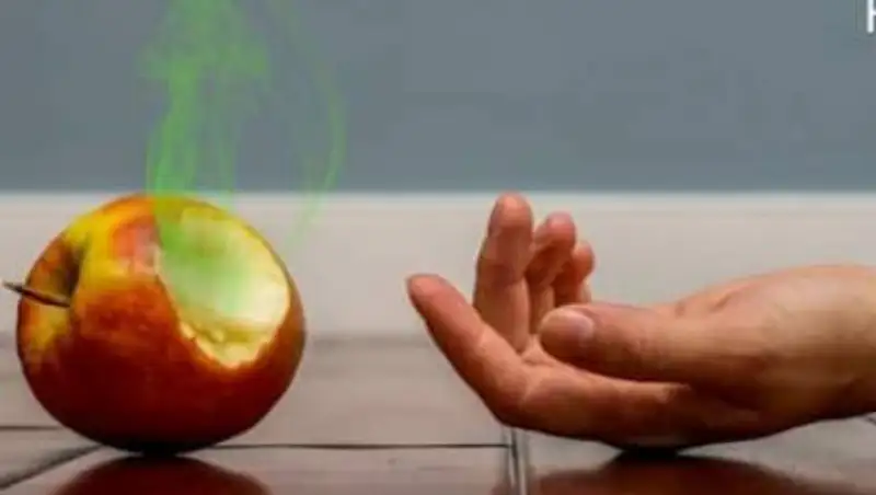 Семья иностранцев насмерть отравилась неизвестным веществом в Шымкенте