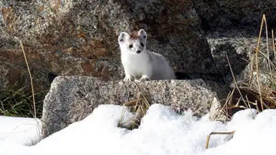 Zakon.kz, фото - Новости Zakon.kz от 22.11.2013 21:42