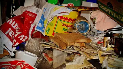 Pixabay, фото - Новости Zakon.kz от 04.09.2020 01:10