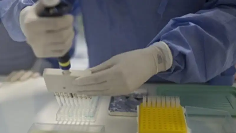 Первый случай заражением вирусом Зика зафиксирован на Кубе