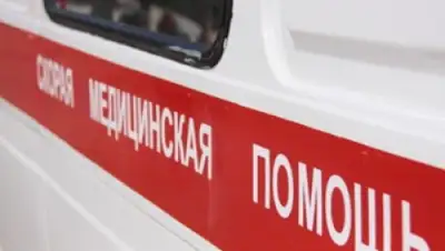 Zakon.kz, фото - Новости Zakon.kz от 23.12.2015 07:17