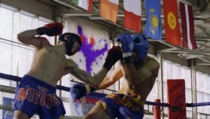 Казахстанские кикбоксеры завоевали 7 золотых медалей на Кубке мира в Венгрии