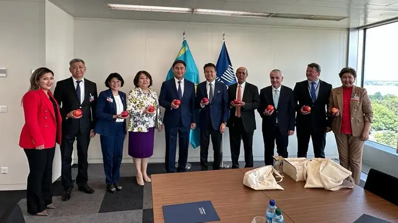 Казахстан  продвигает алматинский апорт в качестве географического указания