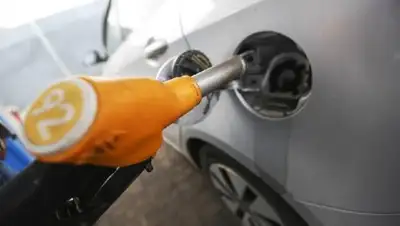 Zakon.kz, фото - Новости Zakon.kz от 13.11.2017 19:16