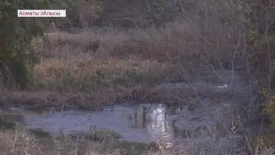 almatytv, фото - Новости Zakon.kz от 14.10.2020 23:10