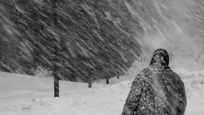 Zakon.kz, фото - Новости Zakon.kz от 08.12.2017 12:42