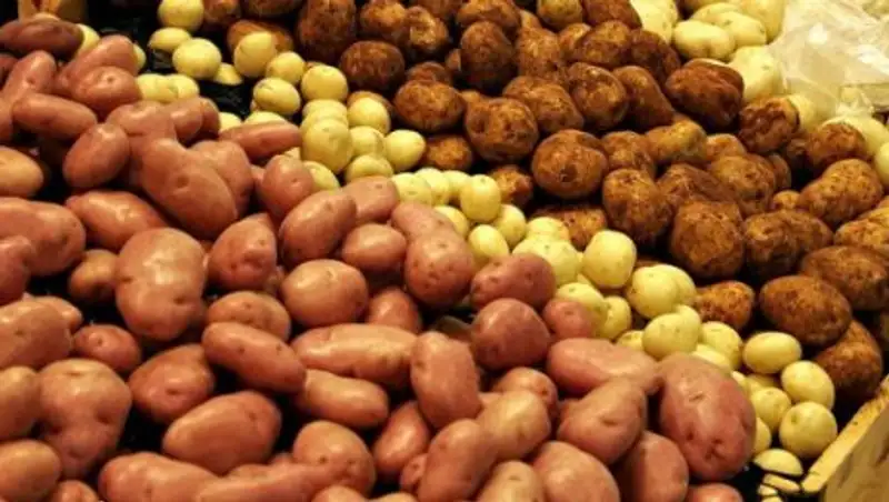 Власти объяснили подорожание картошки в Казахстане