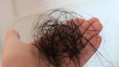 Zakon.kz, фото - Новости Zakon.kz от 15.06.2016 22:41