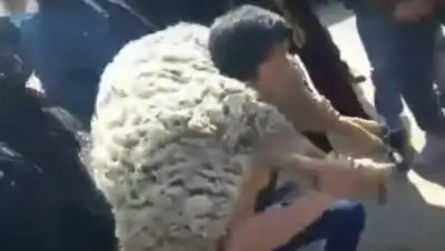 Zakon.kz, фото - Новости Zakon.kz от 24.03.2017 21:43