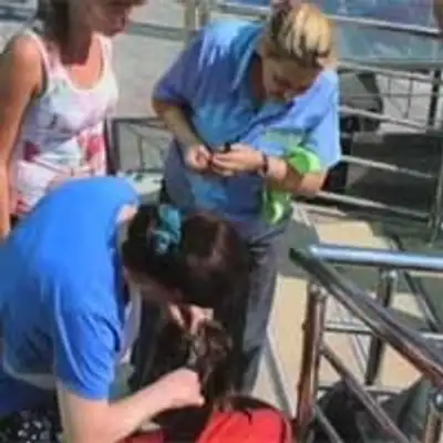 Zakon.kz, фото - Новости Zakon.kz от 23.07.2013 15:35